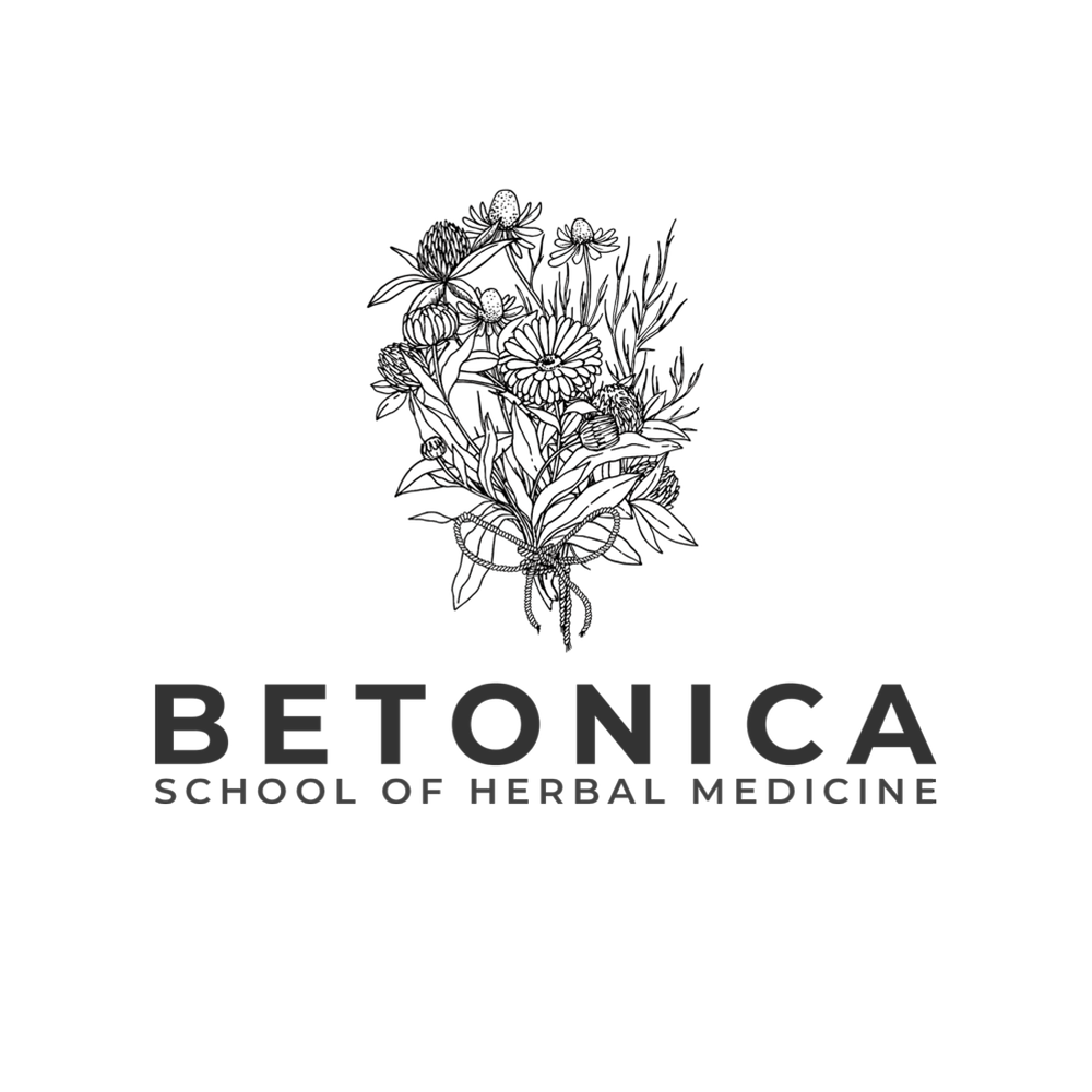Betonica logo